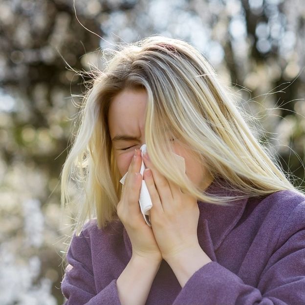 Allergia al polline: sintomi e terapia