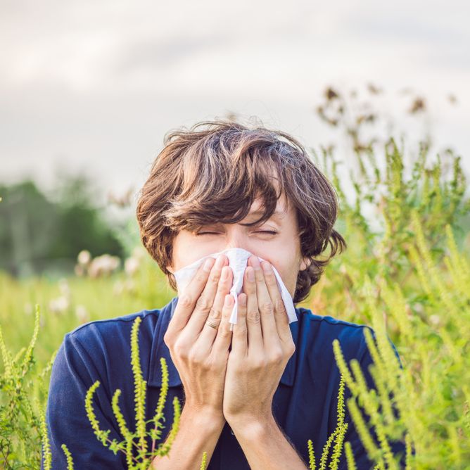 Allergia al polline: sintomi, trattamento e prevenzione
