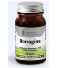 Laboratorio Della Farmacia Borragine